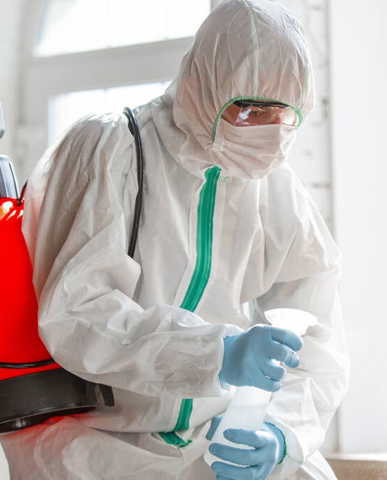 Sivrisinek Haşereleri