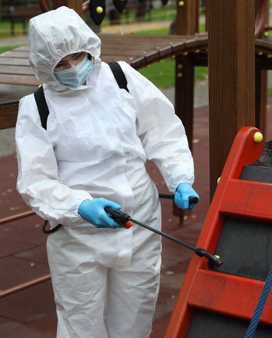 Kemirgen Haşereleri